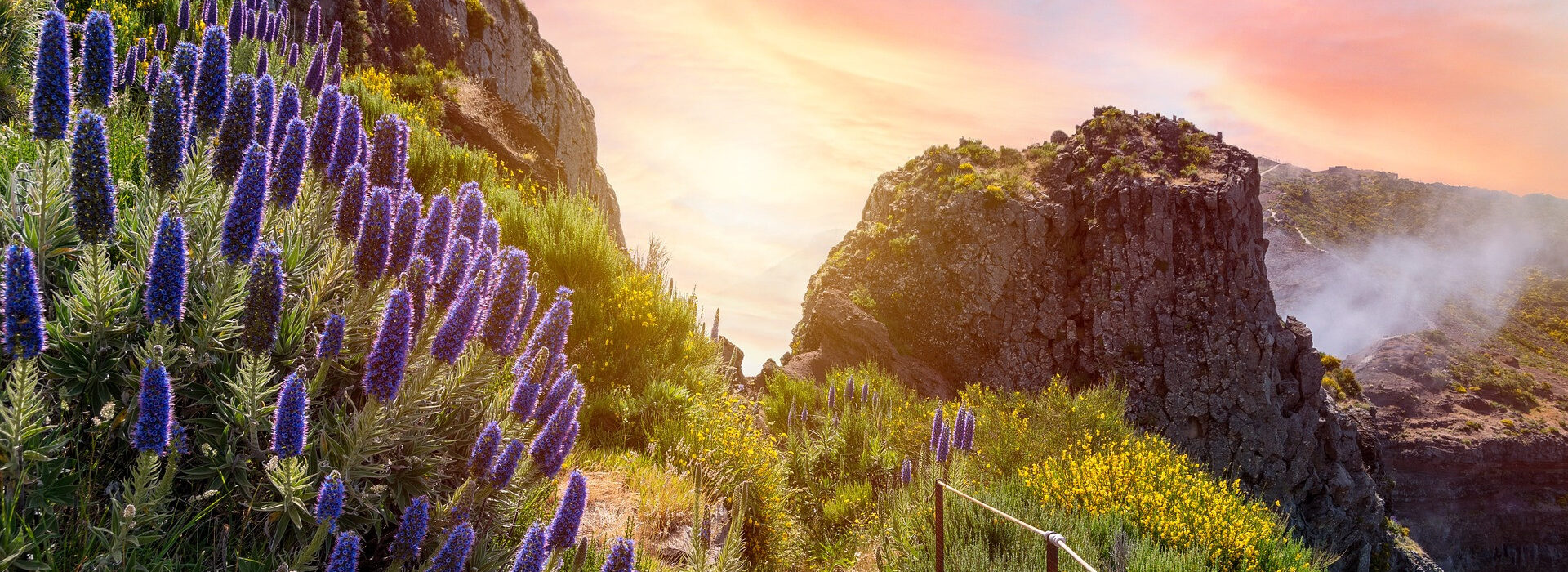 RK26FNC_Beitragsbild_2